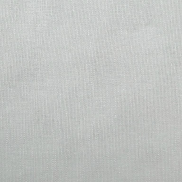 Testa